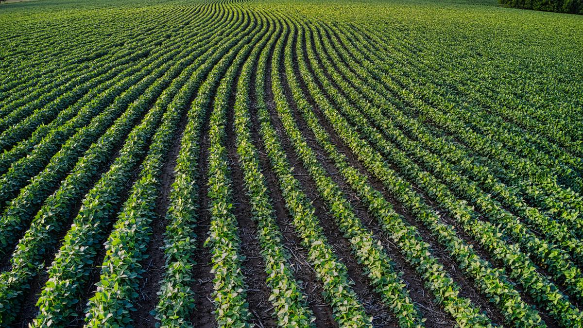 Tècnics d'Agriwater treballant en projectes d'I+D+i