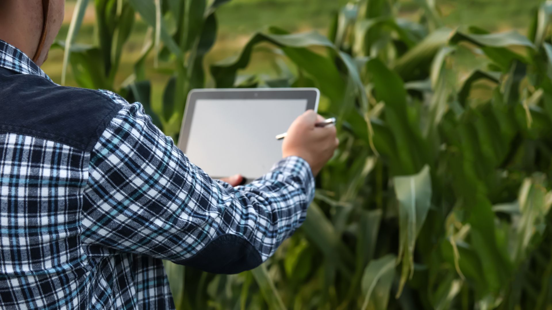 Treball d'investigació d'Agriwater